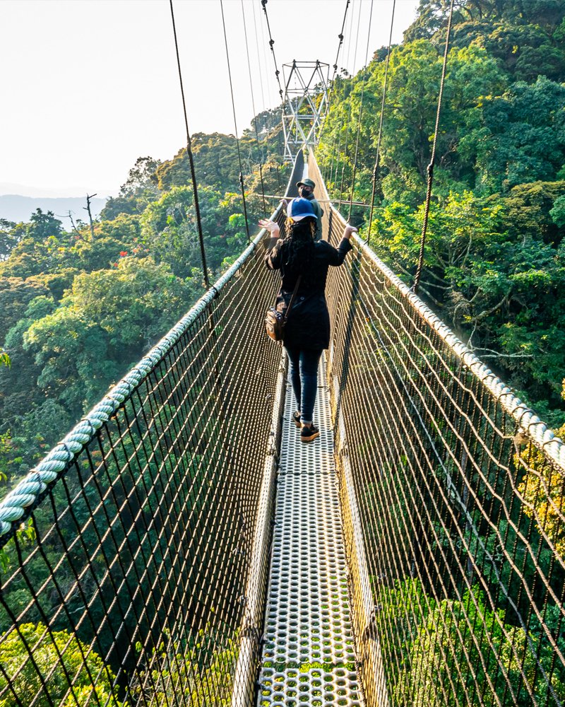 Nyungwe Forest National Park