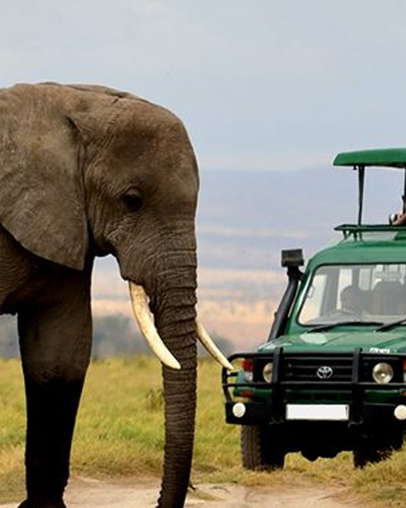 Akagera National Park