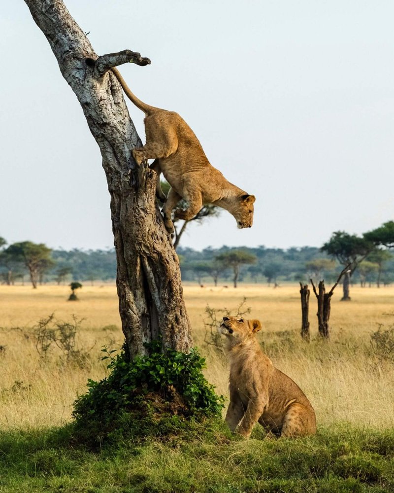 Queen Elizabeth National Park Uganda
